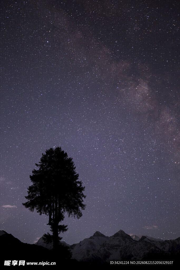 夜空下的孤树与璀璨星河