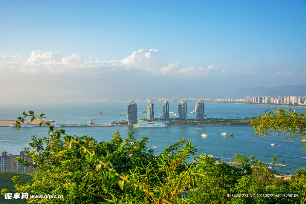 海滨城市风光绿植与高楼