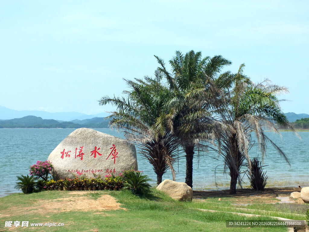 海滨刻字石与棕榈树景观