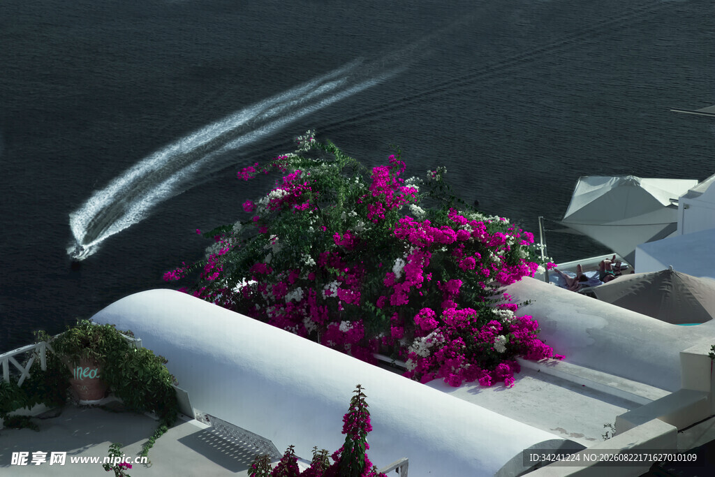 屋顶繁花与海上快艇风景
