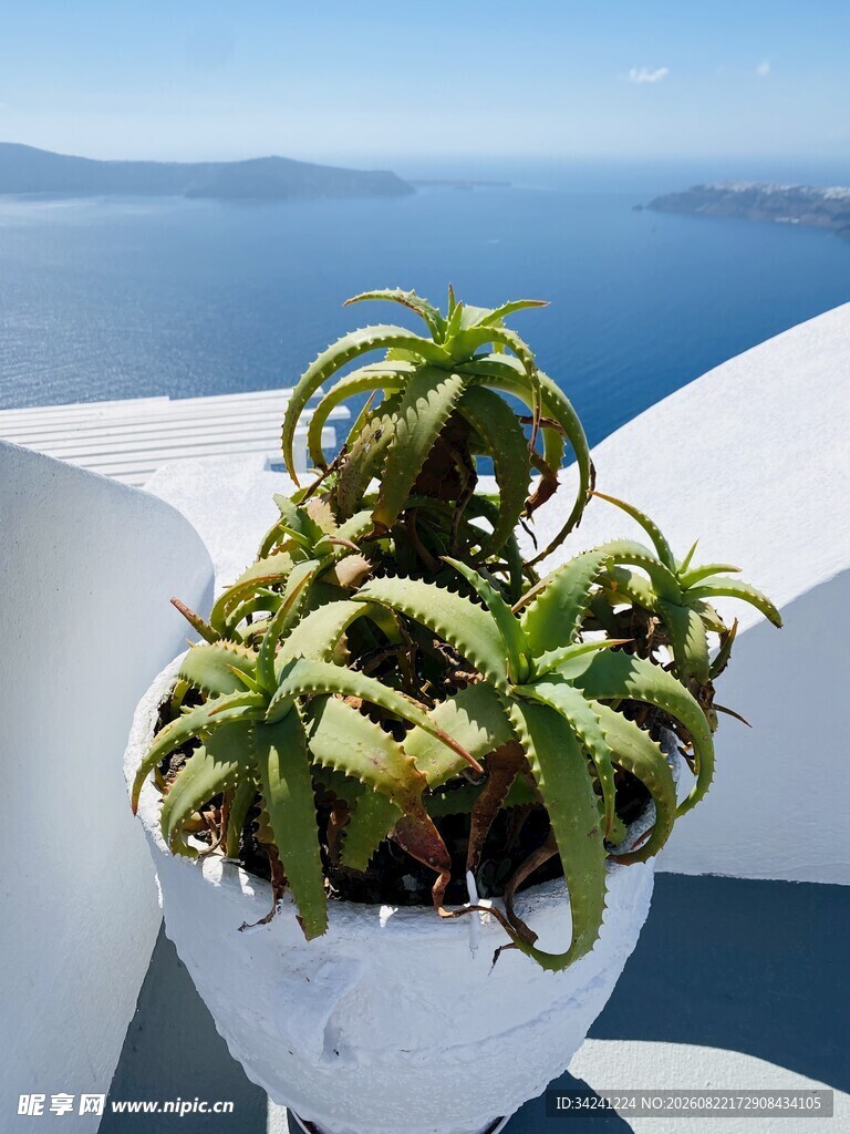 窗边绿植与远方海景