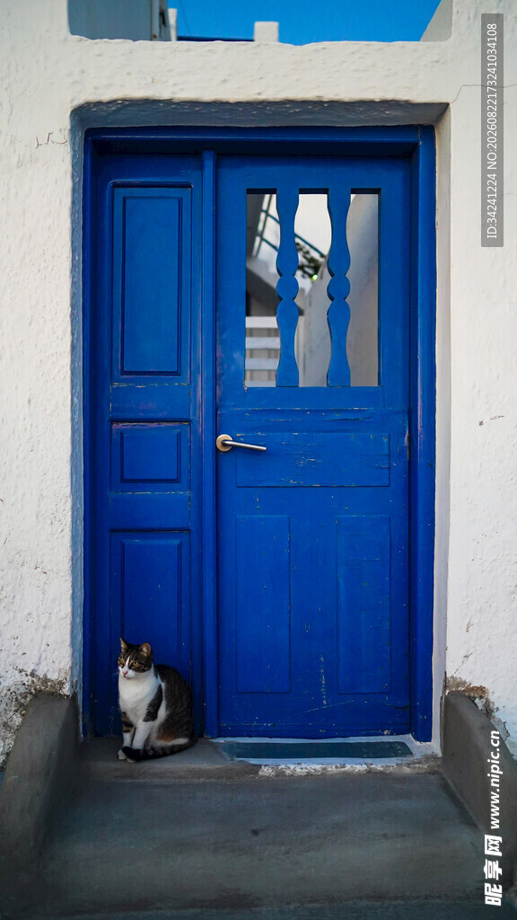 蓝色门前的猫咪