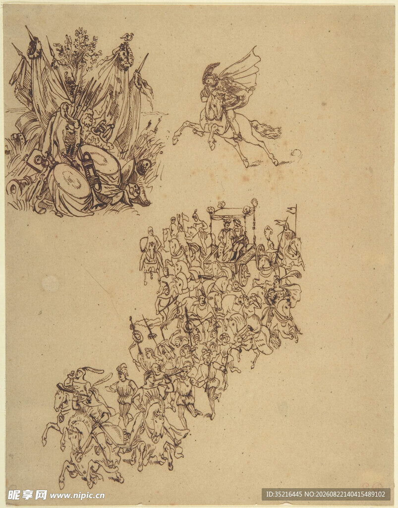 复古植物昆虫手绘插画