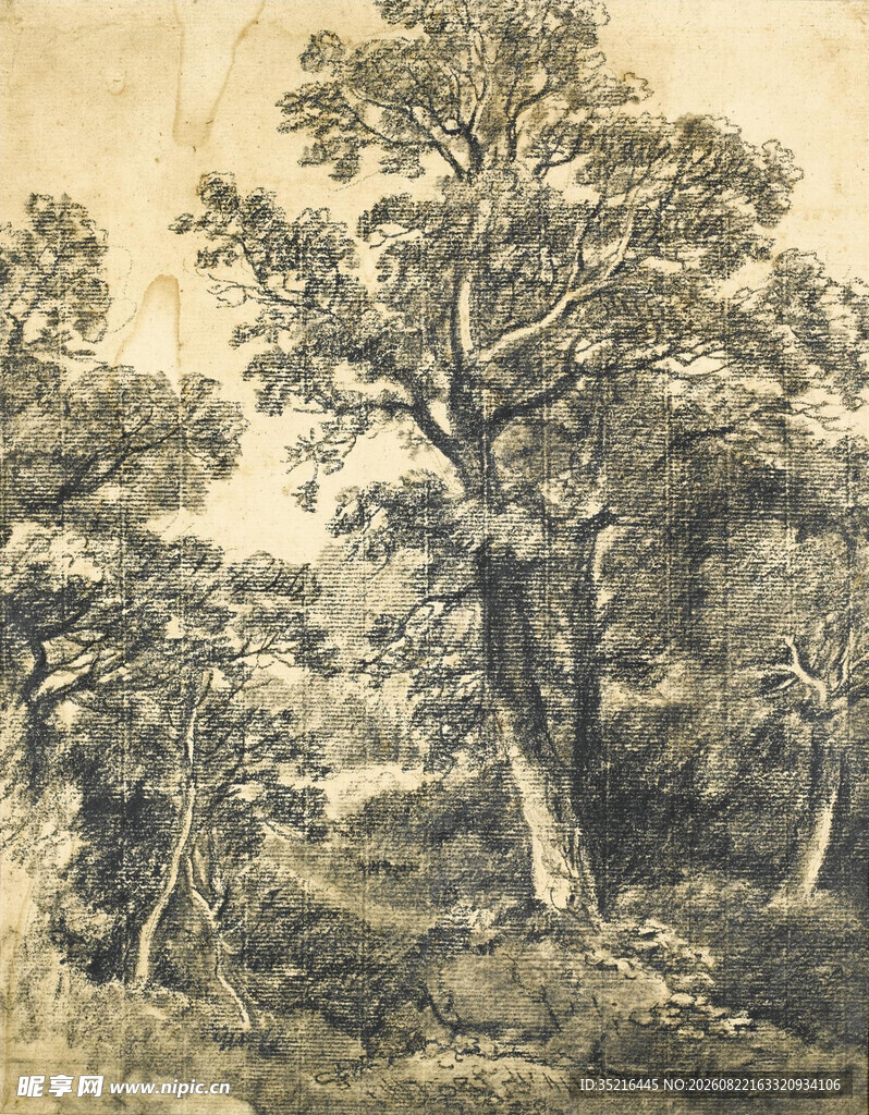 复古风格森林树木绘画
