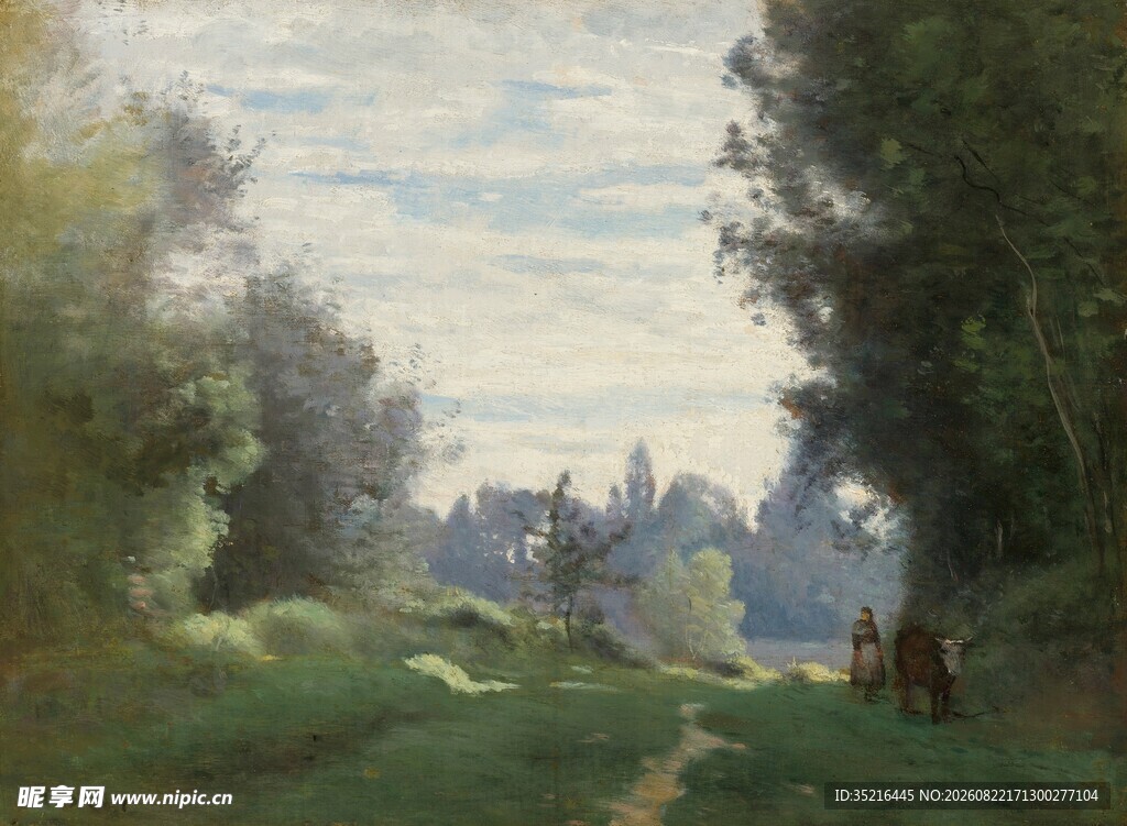 林间小道上的静谧风景