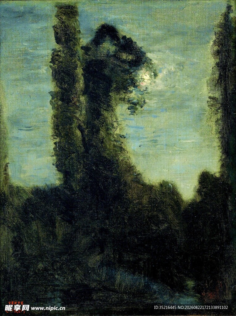 月夜下的神秘树木景观