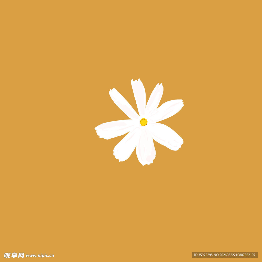 白色的小花