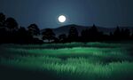 月夜稻田风景