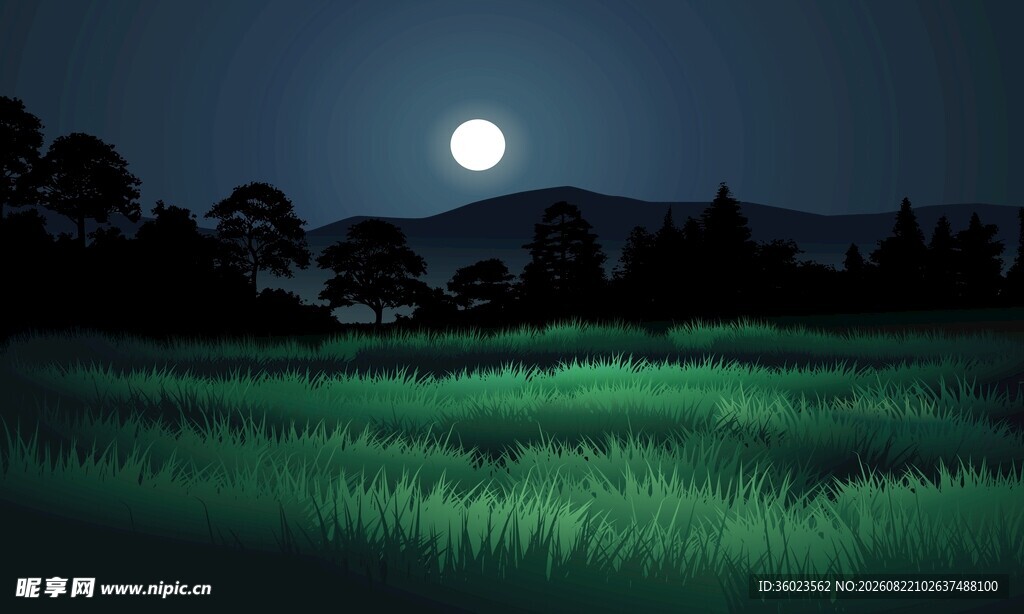 月夜稻田风景