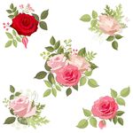 玫瑰花卉素材