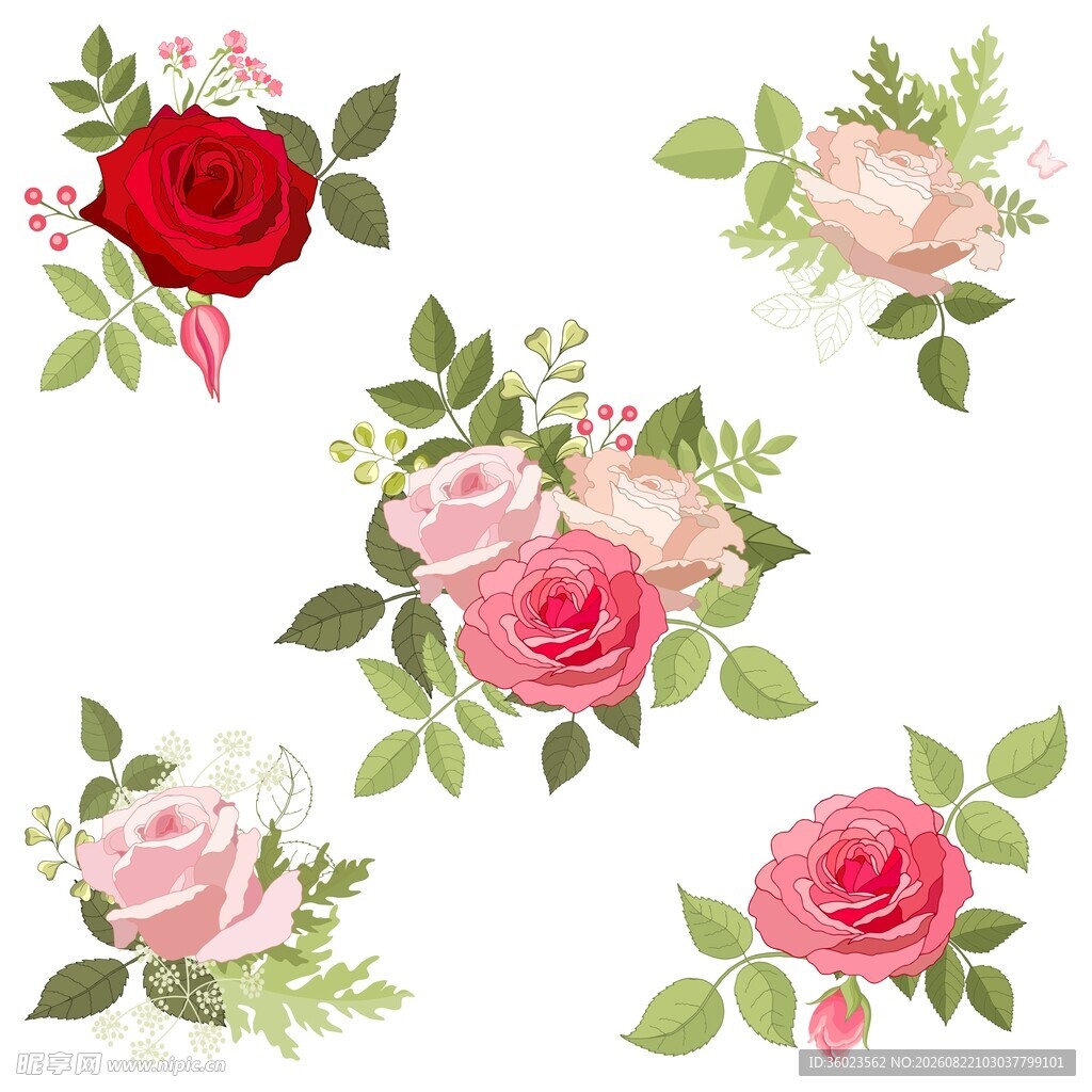 玫瑰花卉素材