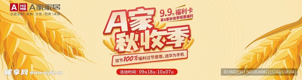 优质A级大豆饱满金黄