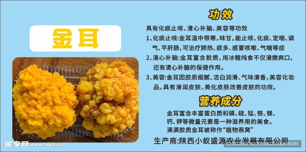 金黄金耳营养美味菌类
