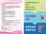 女性宫颈癌知识简介