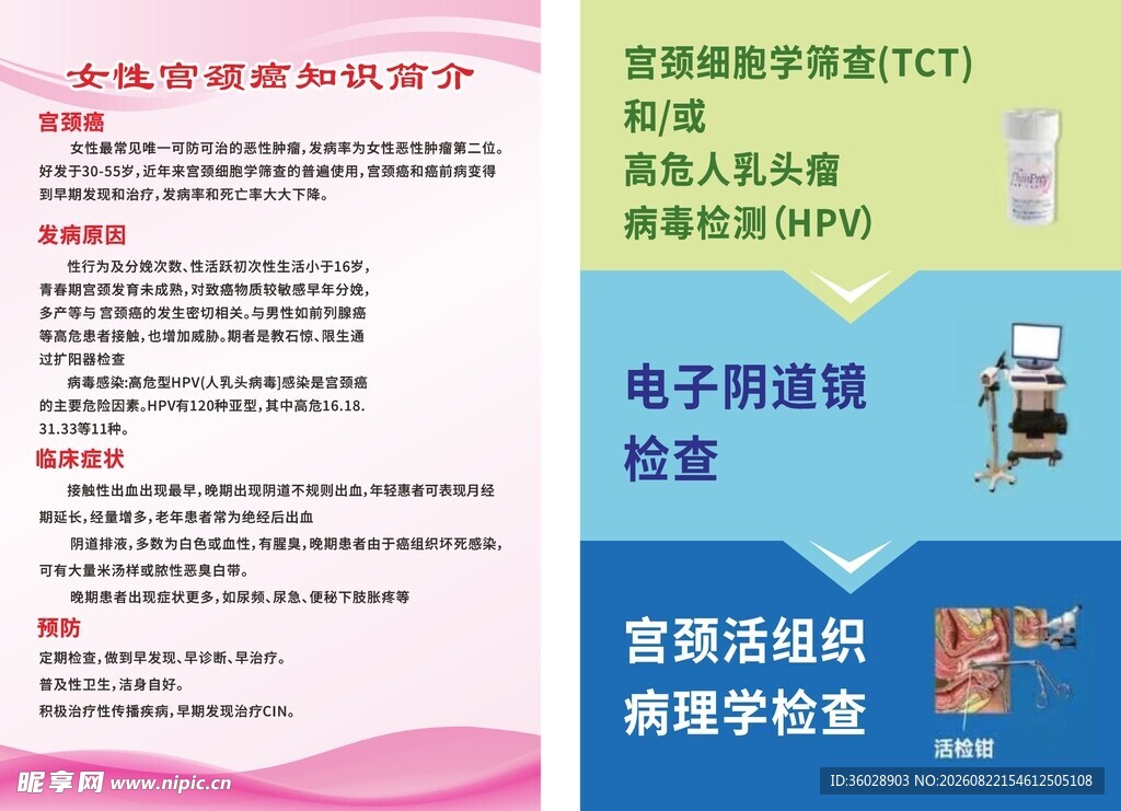 女性宫颈癌知识简介