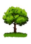 绿树草地素材