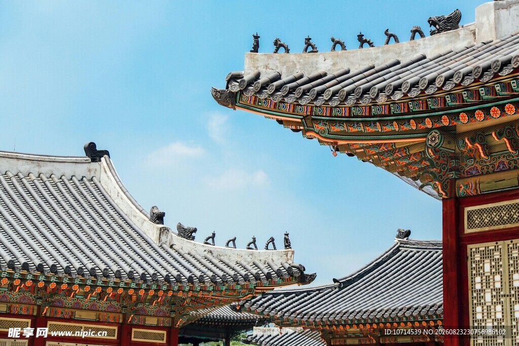 中式古建筑屋顶与飞鸟