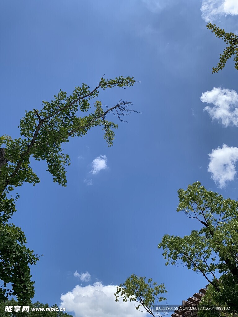 蓝绿白三色