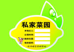 草莓