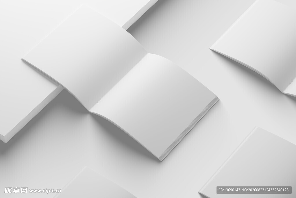 画册高端样机         