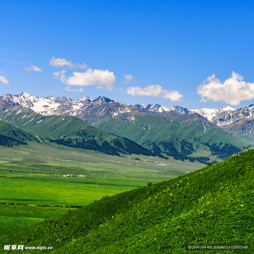 草原雪山美景