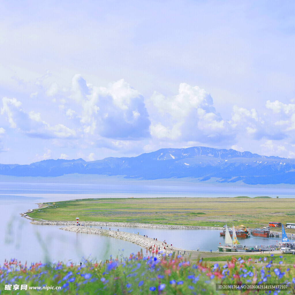 湖畔花海美景