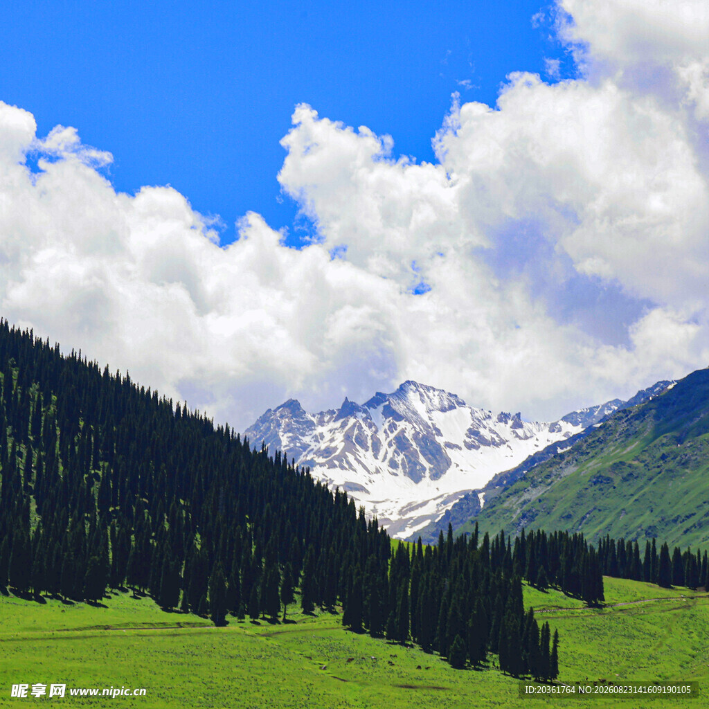 高山绿野间的壮丽自然景观