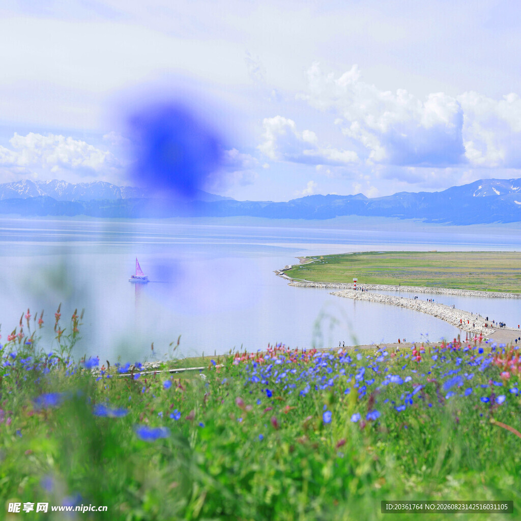 湖畔花海美景