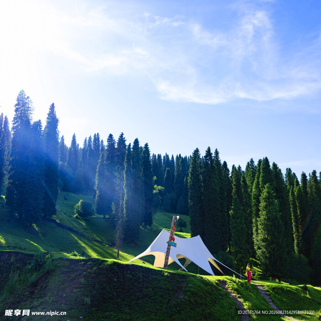 山间露营美景