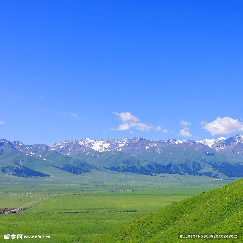草原与雪山的壮美风光