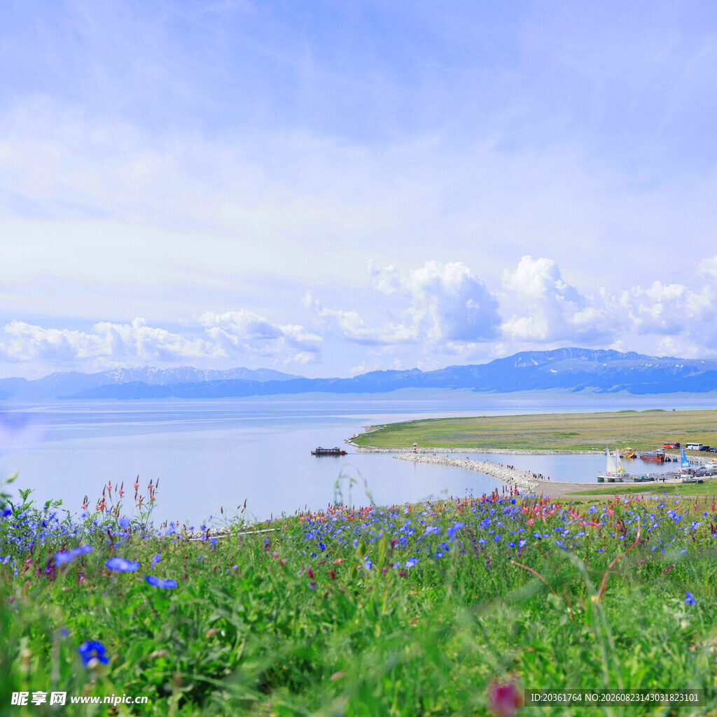 湖畔花海美景