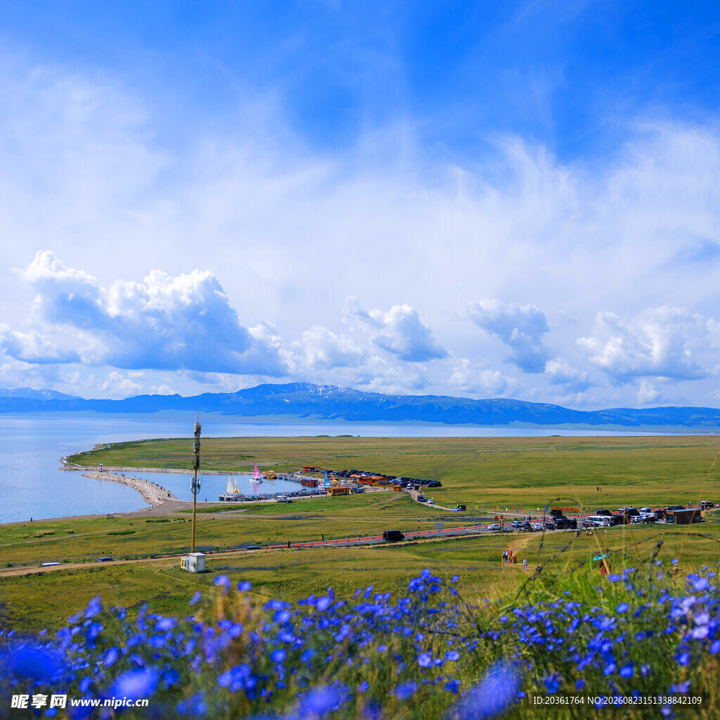 湖畔花海美景