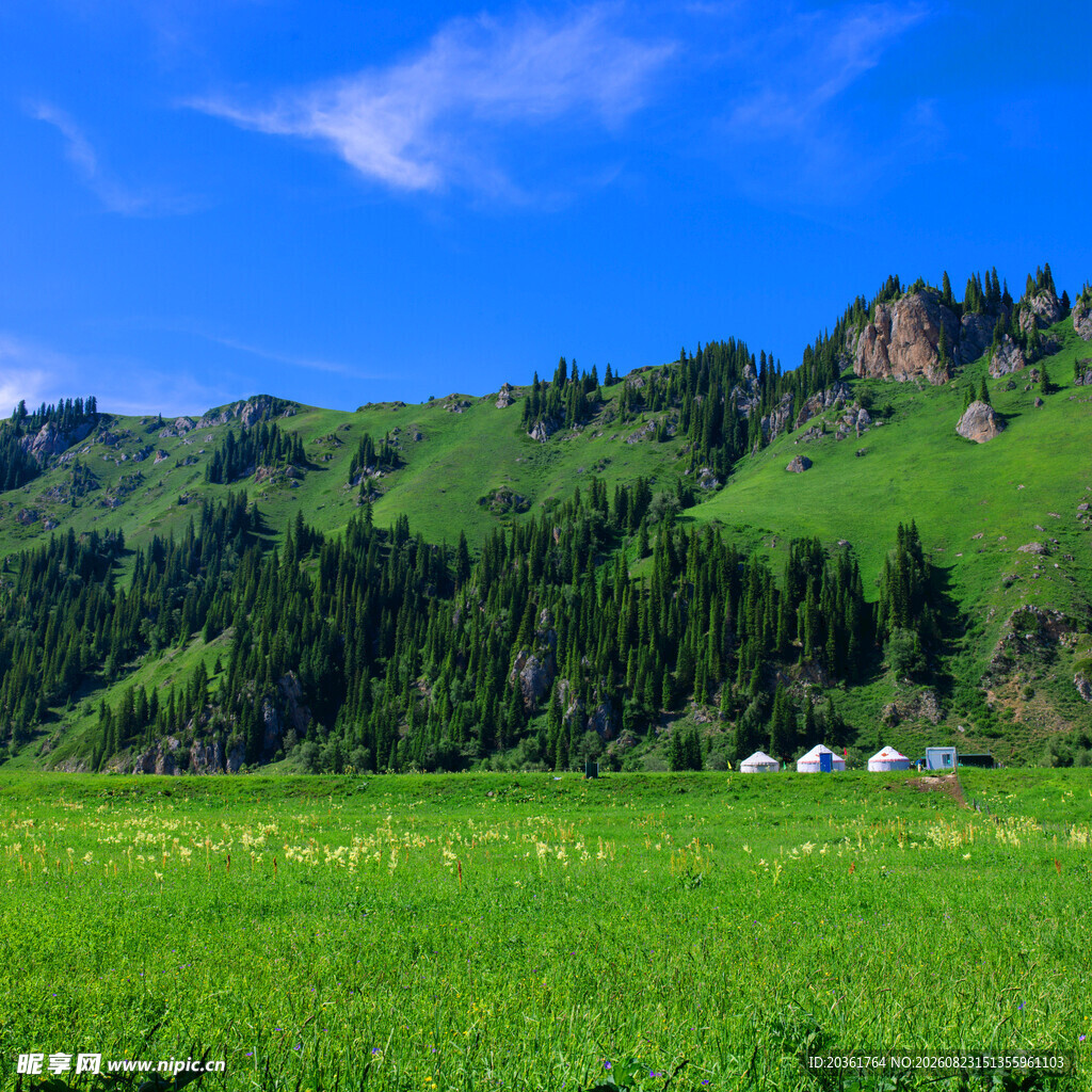 草原青山间的宁静景致