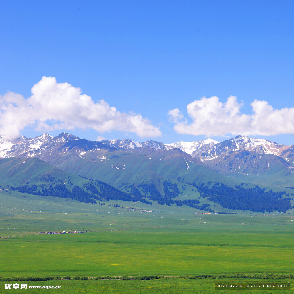 草原雪山美景
