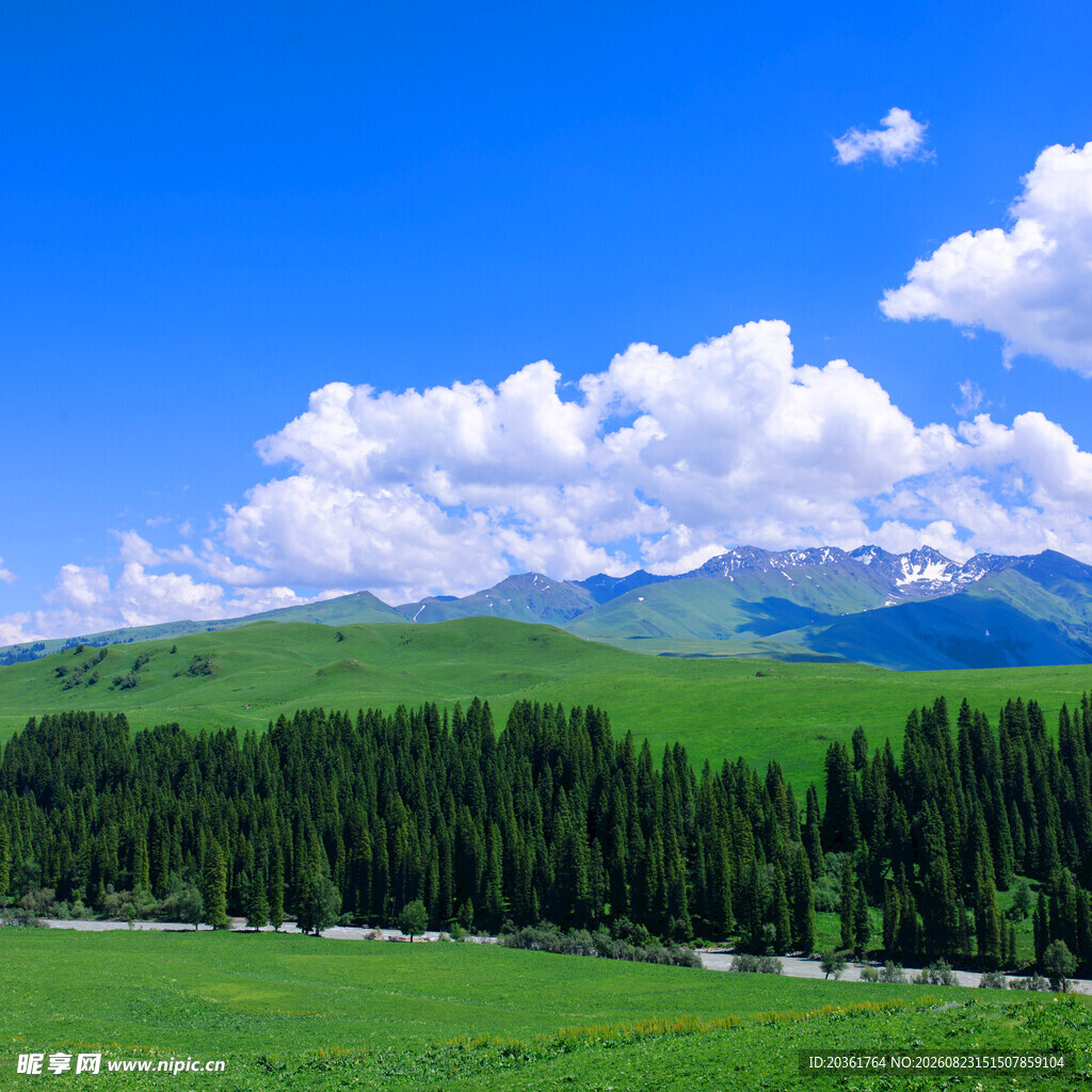 草原山林间的壮美风光