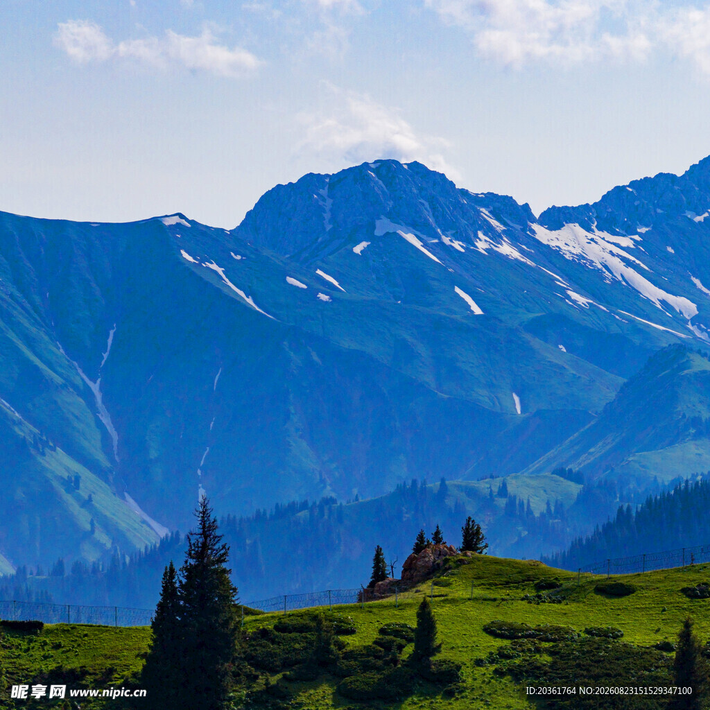 壮丽高山与葱郁植被景观