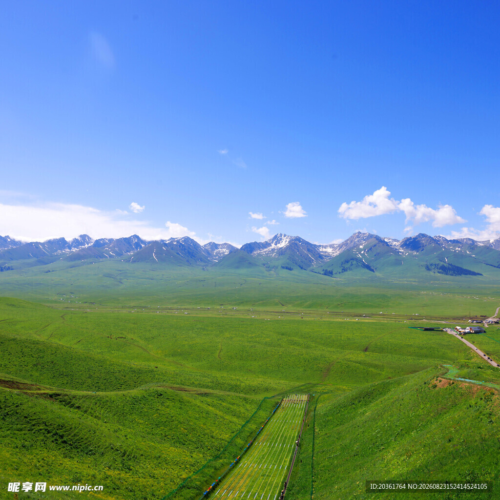 广袤草原与远处山峦美景