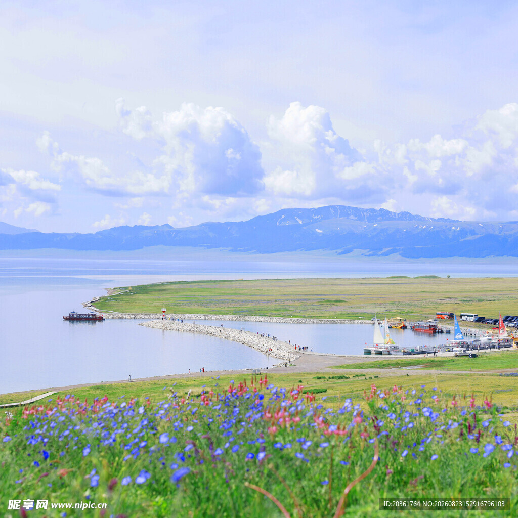 湖畔花海美景