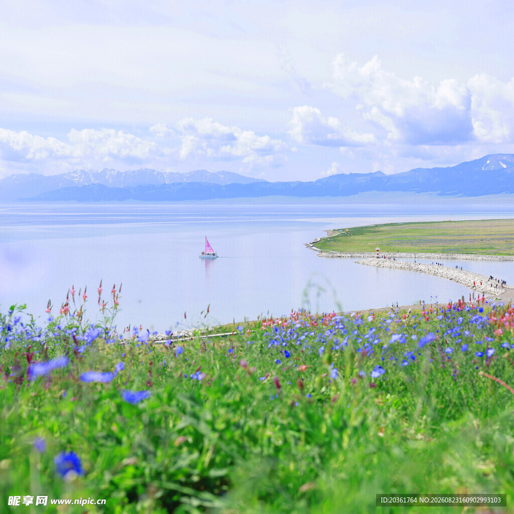 湖畔花海美景