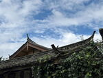 古屋顶与蓝天绿植相映