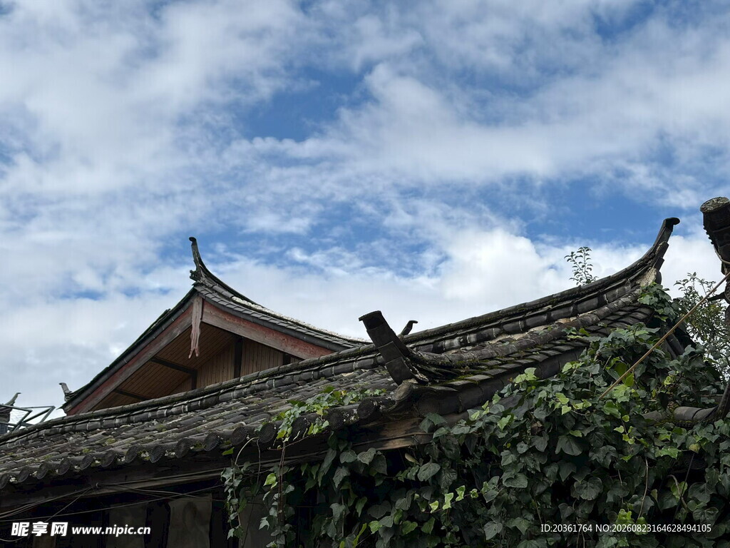 古屋顶与蓝天绿植相映