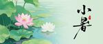 小暑时节的荷花水景