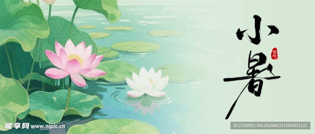 小暑时节的荷花水景