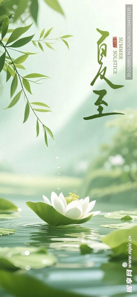 荷花