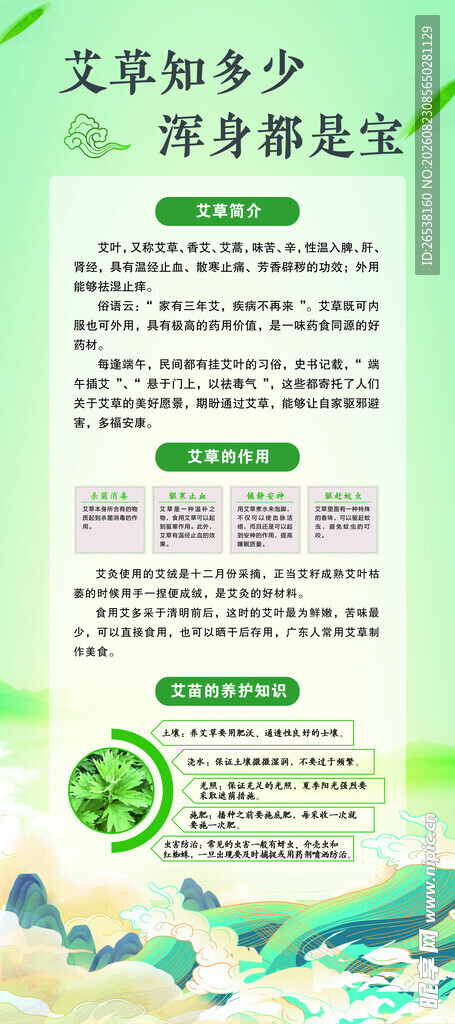 艾草简介