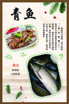 青鱼简介