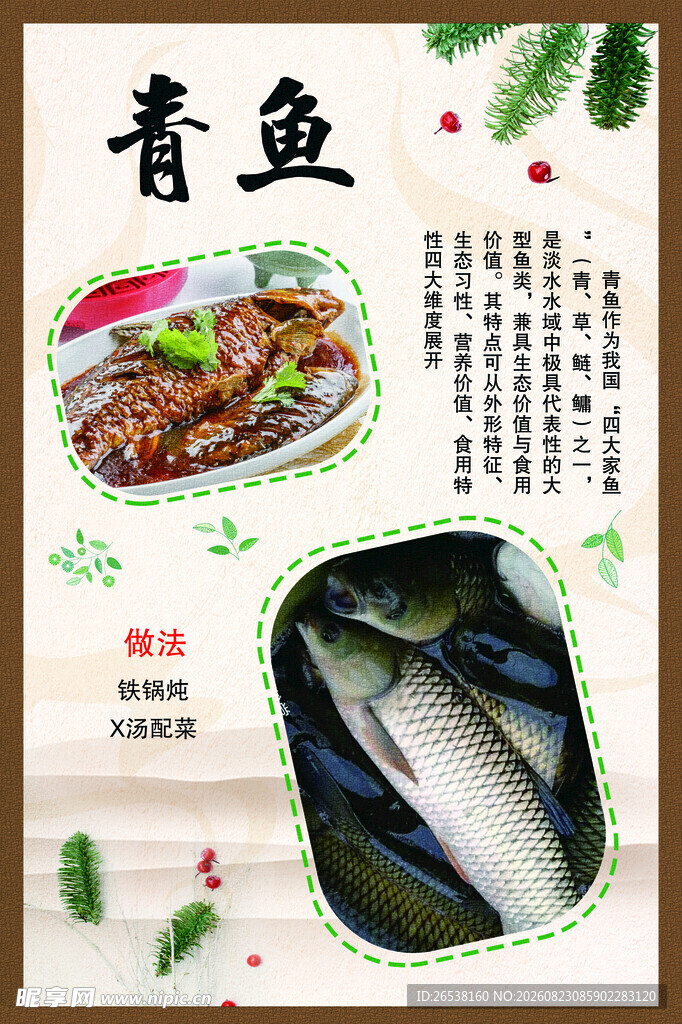 青鱼简介