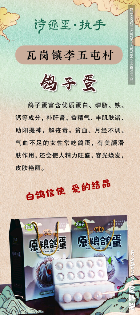 鸽子蛋简介