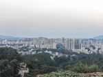 城市远景与绿植景观