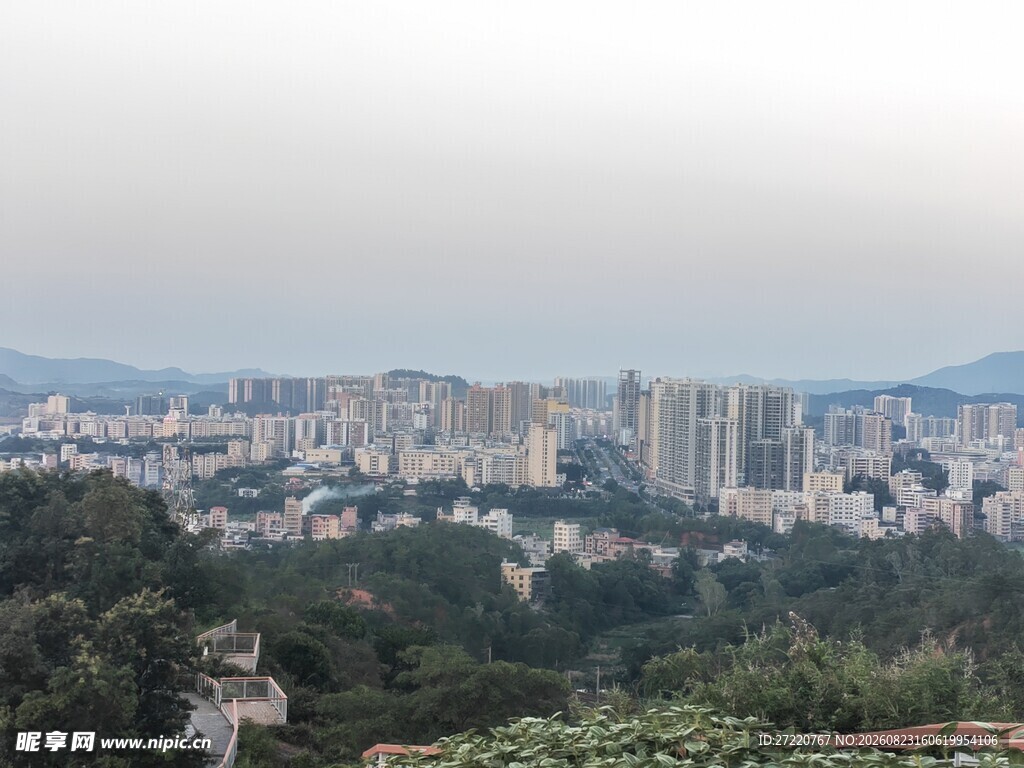 城市远景与绿植景观